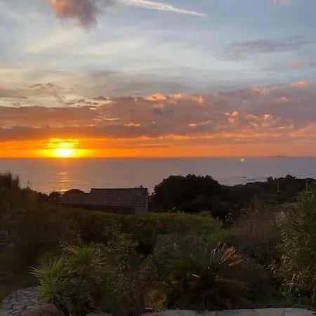 Corse Vue Et Piscine *