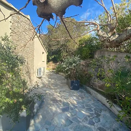 Corse Vue Et Piscine וילה *