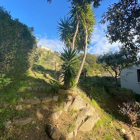 Willa Corse Vue Et Piscine Porticcio (Corsica)