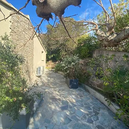 Corse Vue Et Piscine Villa *
