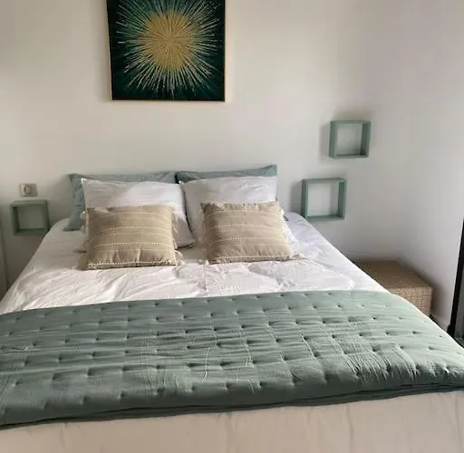 Corse Vue Et Piscine Villa