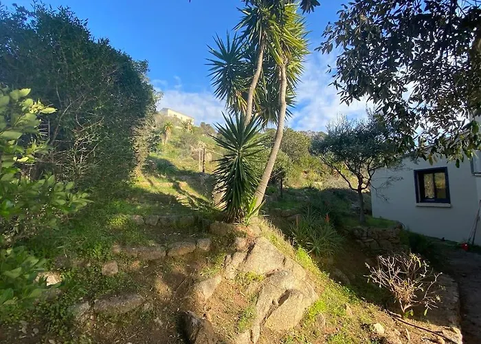 Villa Corse Vue Et Piscine Porticcio